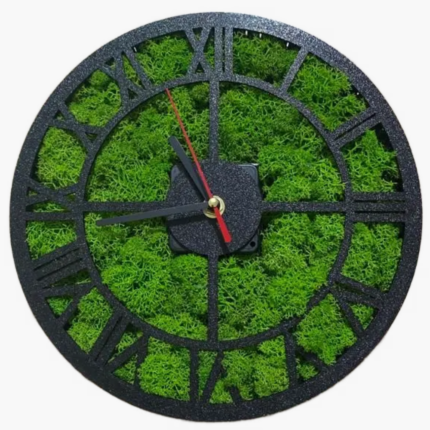 reloj de pared líquen