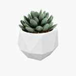 Pot de plantes moderne