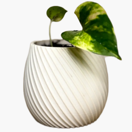 Spiral flower pot