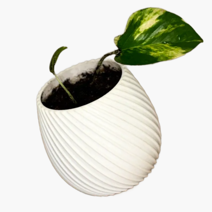 Spiral flower pot