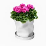 Curved plant pot