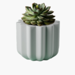 Pot for succulents