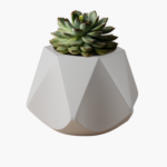 Succulent pot with geometric design