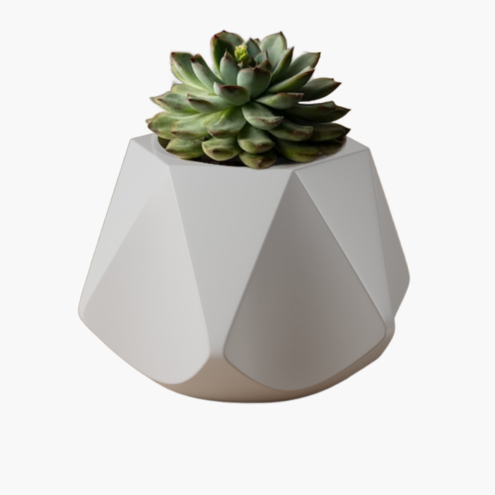 Pot à succulentes au design géométrique