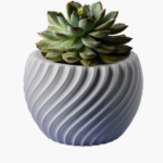 Spiral pot for succulents