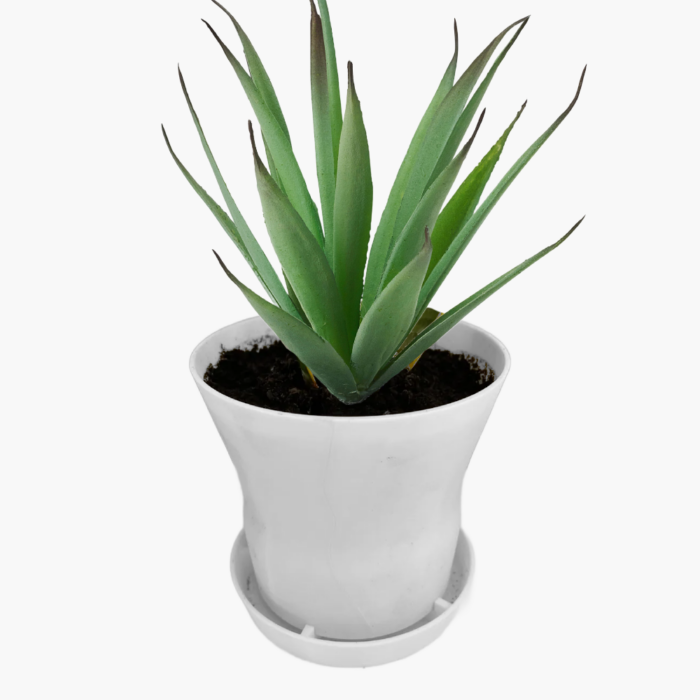 Plant pot