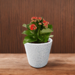 Stylish plant pot