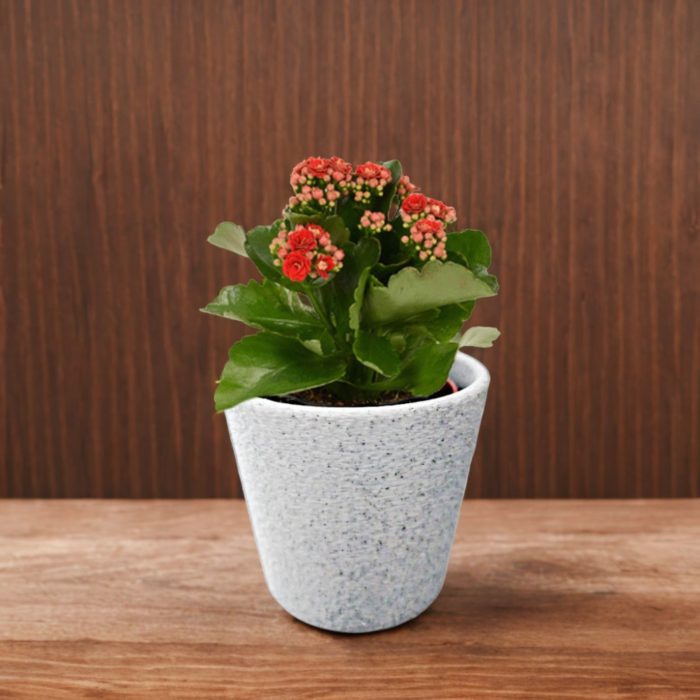 Stylish plant pot