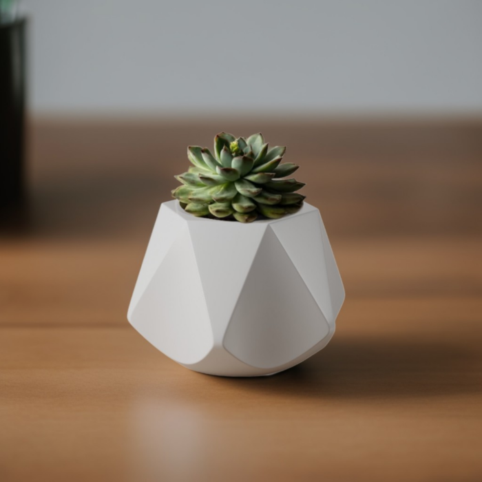 Succulent pot with geometric design