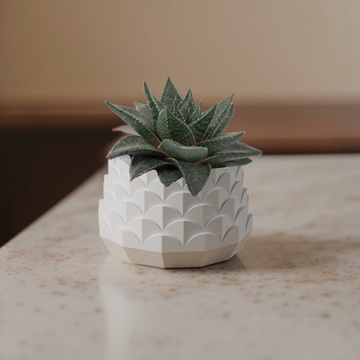 Pot for succulents