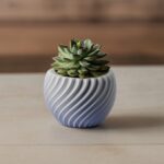 Spiral pot for succulents