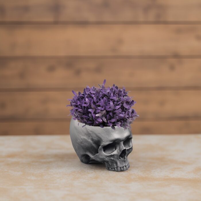 Skull shaped plant pot