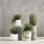 Conjunto de bonitos vasos para plantas