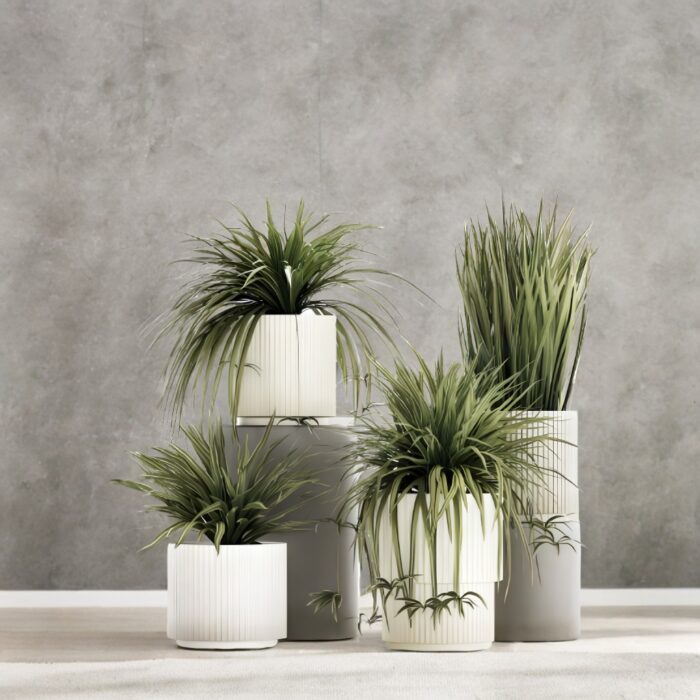 Set of beautiful plant pots