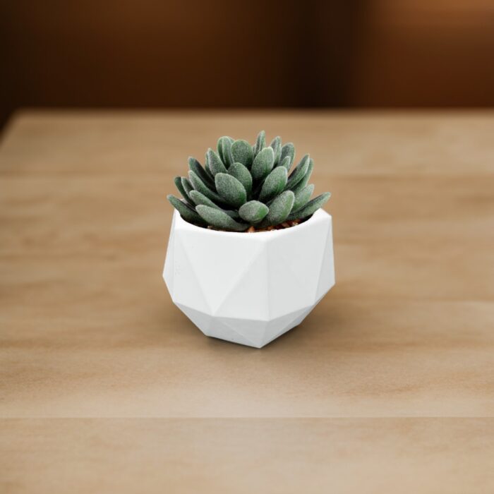 Modern plant pot