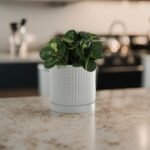 Bonito vaso para plantas