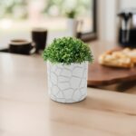 Stylish plant pot