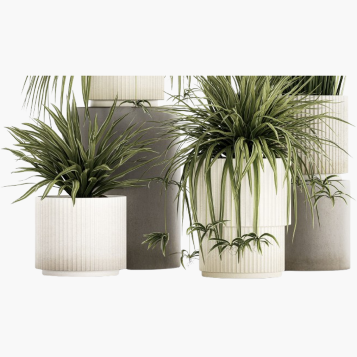 Conjunto de bonitos vasos para plantas