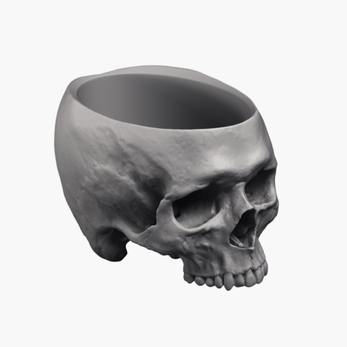 Skull shaped plant pot