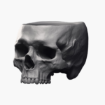 Skull shaped plant pot