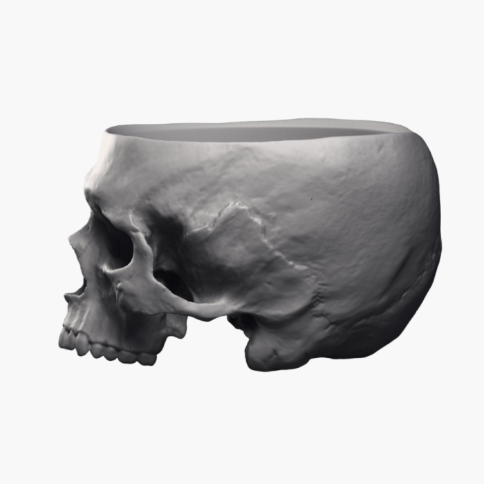 Skull shaped plant pot