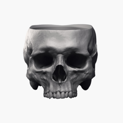 Skull shaped plant pot