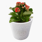 Stylish plant pot